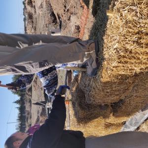 Jornadas Participativas Gallinero Paja 1