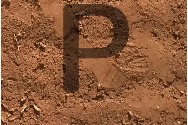 Proyectos y Direcciones de Obra